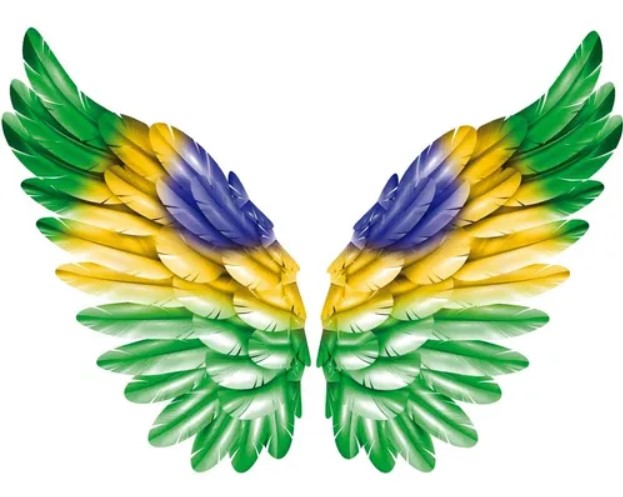 Wings Brazil ⟭⟬ً⁷ 🐹🎂 on X: 📝😭
